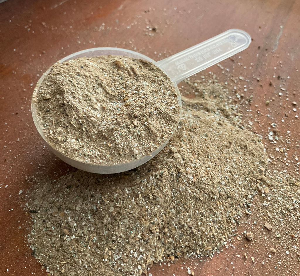 Just The Basics - Mycosorb A+ Base